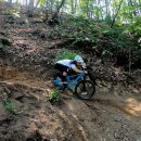 레이스MTB