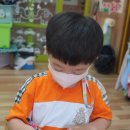 별빛수족관 이미지