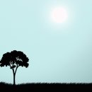 나무한그루 이미지