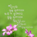 멋진하루 이미지