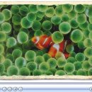 STAY HOUSE 이미지