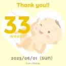초밥대통령용인 | [혼전 임신 33주차 일기] 비피젠 유산균 내돈내산 후기, 놀이매트 구매, 산후도우미 예약, 정기검진...
