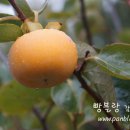 오늘,지금 이미지