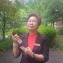 불꽃 인셀덤