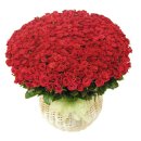 길상초교 이미지