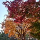 등촌근린공원 이미지