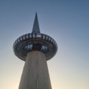 2023 대전 한빛탑 축제 와인페스티벌 후기! 와인종류&amp; 와인잔&amp;푸드트럭