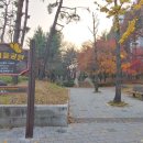 매탄(매여울공원) 이미지