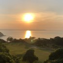 숲속골프 이미지