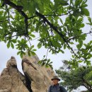 보덕사길 이미지