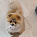 일구야