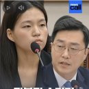&#39;마귀 청문회&#39;? ... 책임은 윗선에 있는데 왜 실무자만 잡아먹나 이미지
