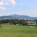 포항골프장(대중9홀) 이미지