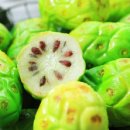 노니 필라테스 이미지