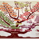 커피트리(COFFEE TREE) 이미지
