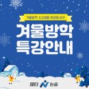 [초등3~4★2024년 기준] 논리쑥쑥 독서논술 | 겨울방학 논술 특강 안내 - 아침 매일 독서, 우리 아이 8주 40권 완독가능할까?