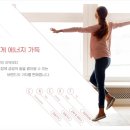 에너프(ENERF) 이미지