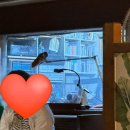 하이마트 건너편 | 동성로 카페 하이마트 음악감상실 방문 후기