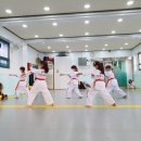 참태권도체육관 이미지