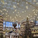 태양가든 | 삼성 코엑스 별마당 도서관 크리스마스 트리 | 강남역 맛집 태양의 토마토 라멘 내돈내산 후기