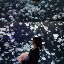 진영3호 | [부산🏃🏻‍♀️💨] 마라톤을 위한 여정