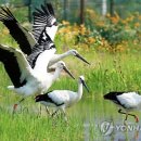 황새공원 다목적광장 연합뉴스