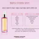 씨먼트