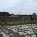 상모리-21 이미지