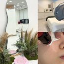 스킨 올 빛 | 전포동 피부관리 스킨올 서면전포점, 샤이니터치로 물광 피부관리 받고 온 후기