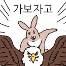 옥단포차