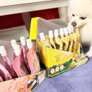 멍푸치노 | 슈퍼포우 펫밀크 2종으로 만든 강아지 멍푸치노 후기