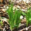 종합운동장역 4번출구 이미지