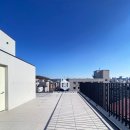 메세나메디칼 이미지