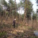 이룬농장 이미지