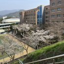 설월여자고등학교 체육관 이미지