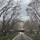 친구들과 호캉스 / 경주 힐튼 트리플 패밀리 룸 / 경주 힐튼 조식 후기 / 경주 천년한우 보문점
