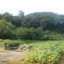 남한산성면-1 이미지