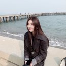 서(SEO) 엔터테인먼트 이미지