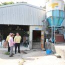 대비농장2 이미지