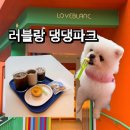댕댕 | 🐾 반려견과 포항 여행 코스 추천｜러블랑 댕댕파크 후기