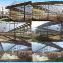 고급육생산목장 이미지