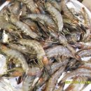 부일상회 이미지