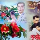 동백아가씨 이미지