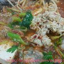 송정동태 이미지