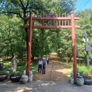 자인계정숲 이미지