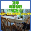 표선보건소 | 제주표선브런치 강아지동반 피크닉 감성 여름정원