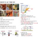 한국건설공정분석원 | 산업안전기사 실기 시험 작업형 공부방법 기출 요약 정리