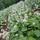 성부농장 이미지