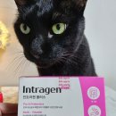 (주)알켐바이오 이미지