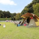 피플앤독 이미지